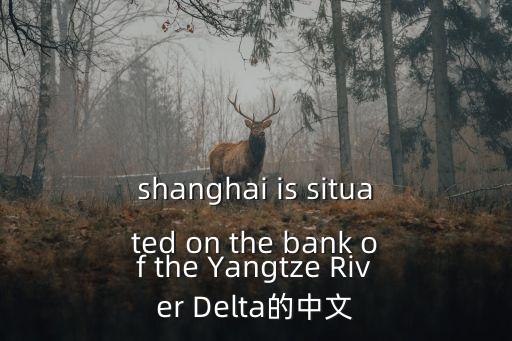 shanghai is situated on the bank of the Yangtze River Delta的中文