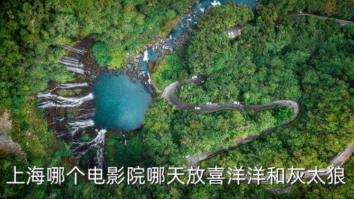上海哪個(gè)電影院哪天放喜洋洋和灰太狼