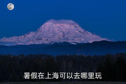 暑假在上海可以去哪里玩