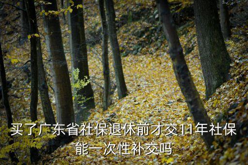 買了廣東省社保退休前才交11年社保能一次性補交嗎