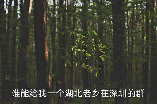 湖北人在湖南來深圳復工，誰能給我一個湖北老鄉在深圳的群