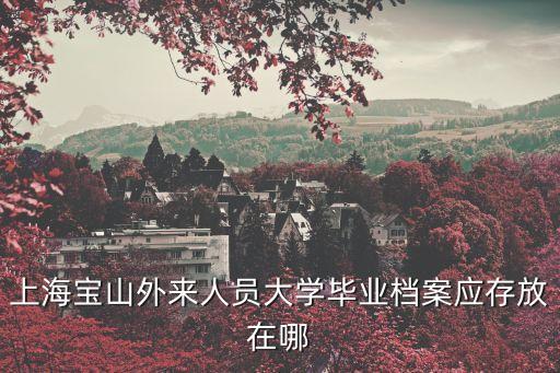 上海寶山外來人員大學畢業檔案應存放在哪