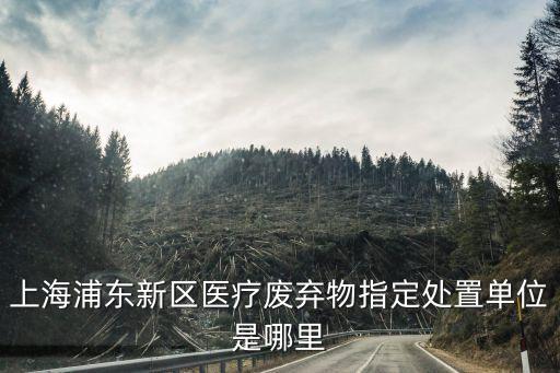 上海浦東新區醫療廢棄物指定處置單位是哪里