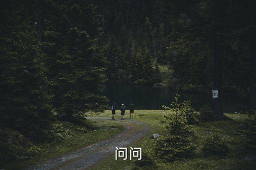 深圳青島科技，問(wèn)問(wèn)