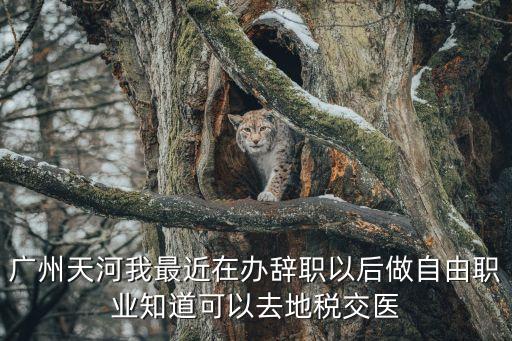 廣州地稅買醫保，廣州天河我最近在辦辭職以后做自由職業知道可以去地稅交醫