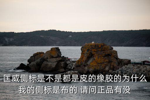 東莞正揚橡膠，匡威側標是不是都是皮的橡膠的為什么我的側標是布的 請問正品有沒