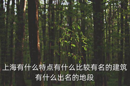 上海有什么特點有什么比較有名的建筑有什么出名的地段