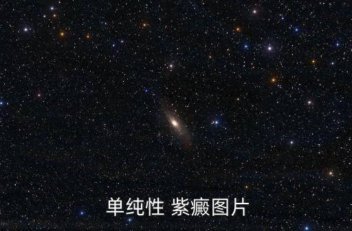  單純性 紫癜圖片
