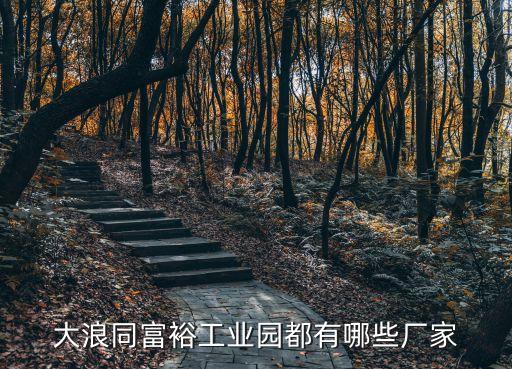 大浪同富裕工業園都有哪些廠家