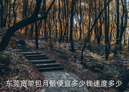 東莞輕軌最便宜多少錢(qián)，東莞寬帶包月最便宜多少錢(qián)速度多少