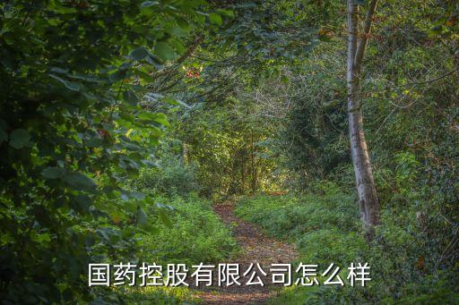 國藥控股有限公司怎么樣