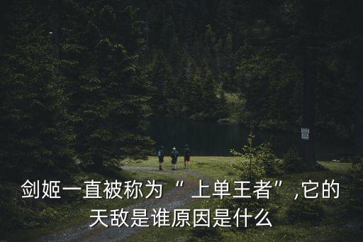 lol上單英雄,LOL上單英雄有哪些
