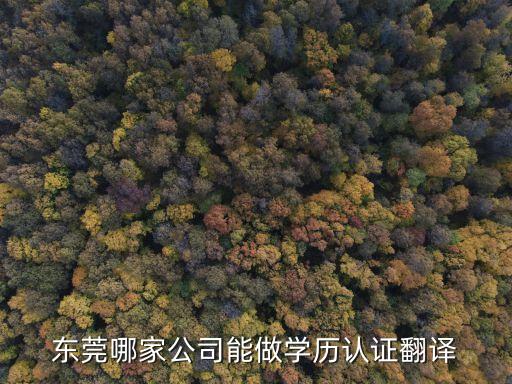 東莞小翻譯公司平臺，東莞博慧翻譯中心 官方網站是什么