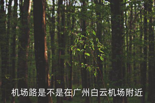廣州白云機場路在那，機場路是不是在廣州白云機場附近