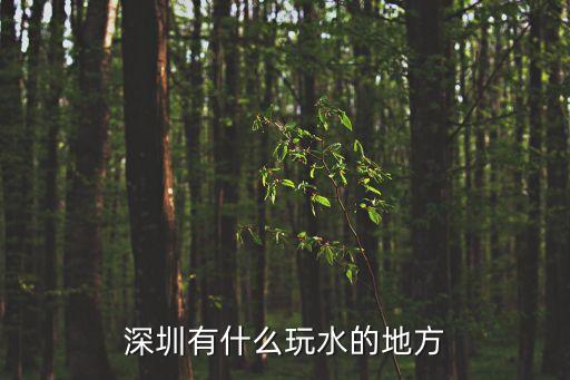 深圳有什么玩水的地方
