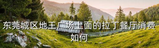 東莞城區(qū)地王廣場(chǎng)上面的拉丁餐廳消費(fèi)如何