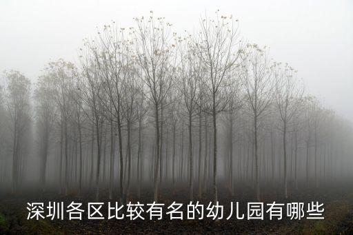 深圳各區比較有名的幼兒園有哪些