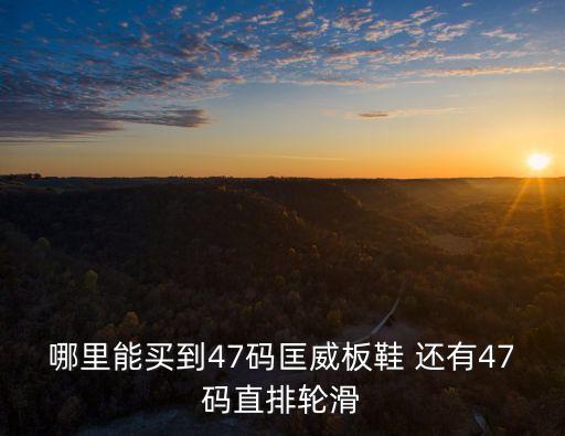 哪里能買到47碼匡威板鞋 還有47碼直排輪滑