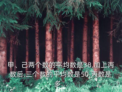 甲乙兩
