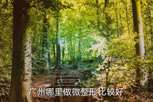 廣州微整哪里最好更行美來精確，廣州哪里做微整形比較好