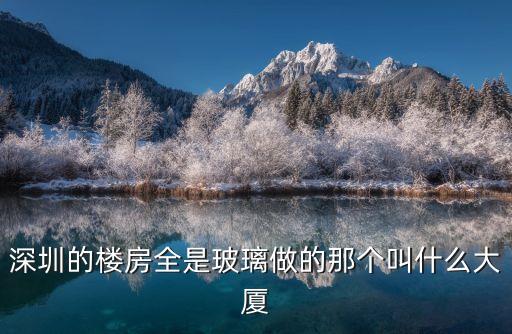 深圳富平大廈，深圳的樓房全是玻璃做的那個叫什么大廈