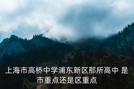上海市高橋中學重回市重點，上海市高橋中學浦東新區那所高中 是市重點還是區重點