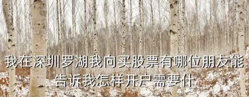 我在深圳羅湖我向買股票有哪位朋友能告訴我怎樣開戶需要什
