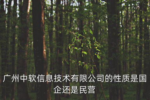 廣州中軟信息技術有限公司的性質是國企還是民營