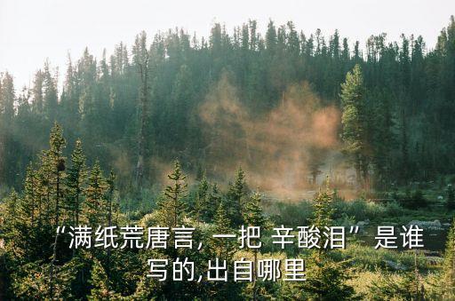“滿紙荒唐言, 一把 辛酸淚”是誰寫的,出自哪里