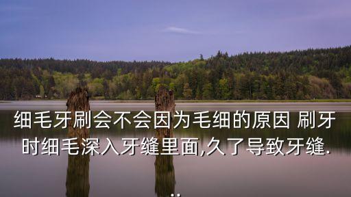 細(xì)毛牙刷會(huì)不會(huì)因?yàn)槊?xì)的原因 刷牙時(shí)細(xì)毛深入牙縫里面,久了導(dǎo)致牙縫...