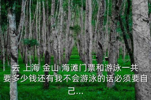 去 上海 金山 海灘門票和游泳一共要多少錢還有我不會游泳的話必須要自己...