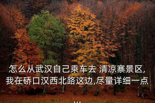 怎么從武漢自己乘車去 清涼寨景區,我在硚口漢西北路這邊,盡量詳細一點...