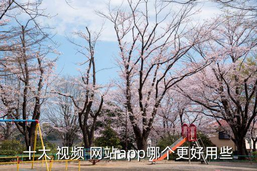 十大 視頻 網站app哪個更好用些