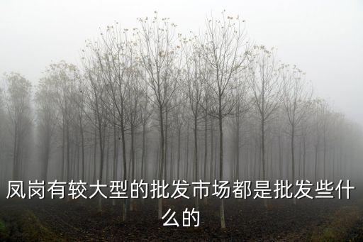 鳳崗有較大型的批發市場都是批發些什么的