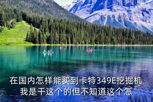 在國內怎樣能買到卡特349E挖掘機我是干這個的但不知道這個怎