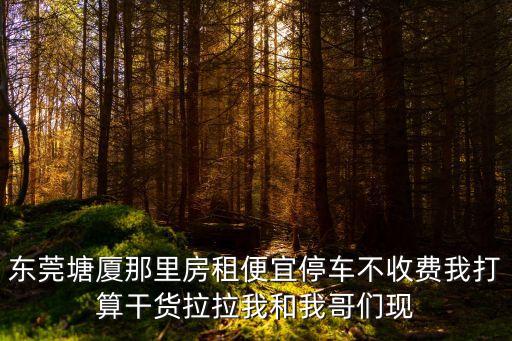 東莞塘廈那里房租便宜停車不收費我打算干貨拉拉我和我哥們現(xiàn)