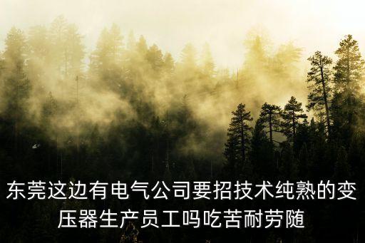 東莞東城成套電氣招聘，東莞這邊有電氣公司要招技術純熟的變壓器生產員工嗎吃苦耐勞隨