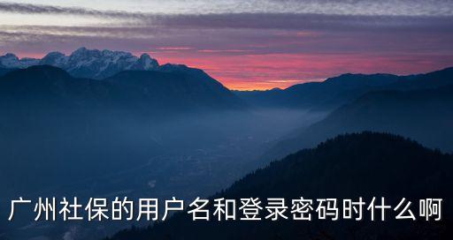 廣州社保的用戶名和登錄密碼時(shí)什么啊