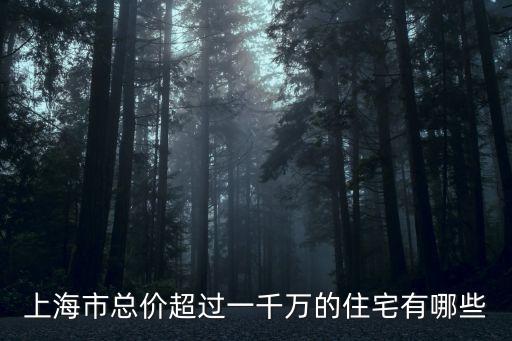 上海市總價超過一千萬的住宅有哪些