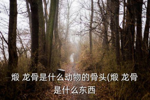 煅 龍骨是什么動物的骨頭(煅 龍骨是什么東西