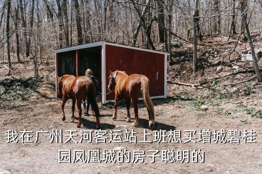 我在廣州天河客運站上班想買增城碧桂園鳳凰城的房子聰明的