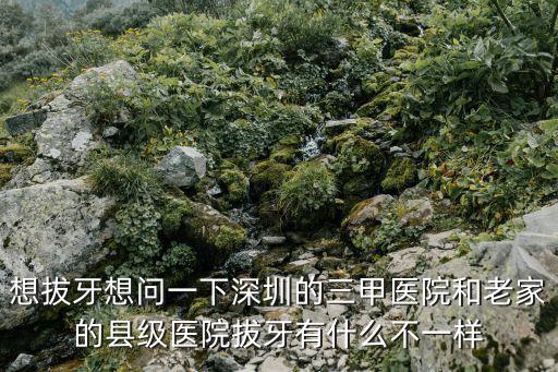 想拔牙想問一下深圳的三甲醫院和老家的縣級醫院拔牙有什么不一樣