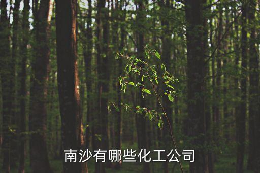 南沙有哪些化工公司