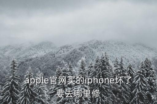 廣州iphone官網(wǎng)指定維修點(diǎn)，廣州蘋果官方有售后服務(wù)么