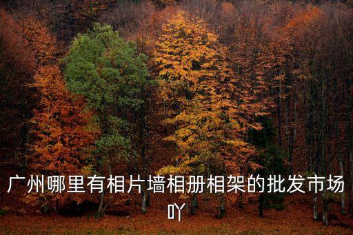 廣州哪里有相片墻相冊相架的批發市場吖