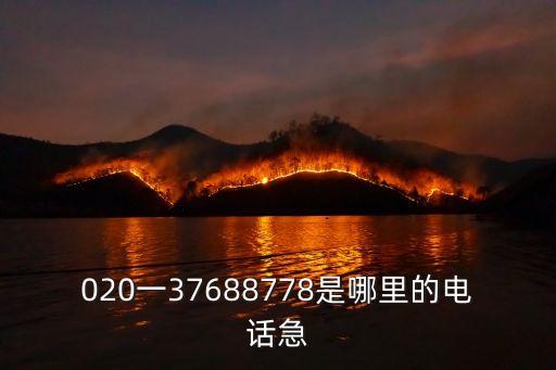 020一37688778是哪里的電話急