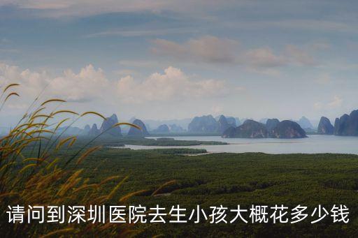 請問到深圳醫院去生小孩大概花多少錢