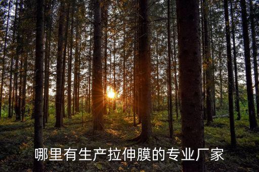 哪里有生產拉伸膜的專業廠家