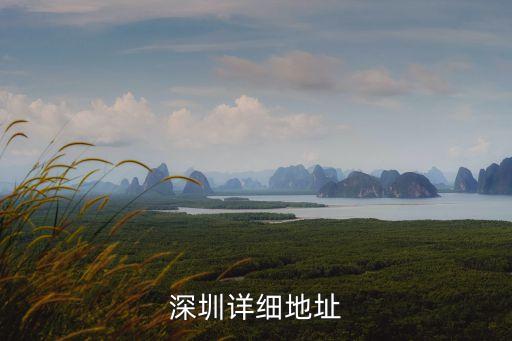 深圳詳細地址