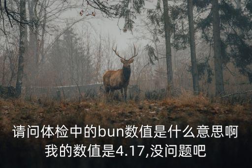 請問體檢中的bun數值是什么意思啊我的數值是4.17,沒問題吧